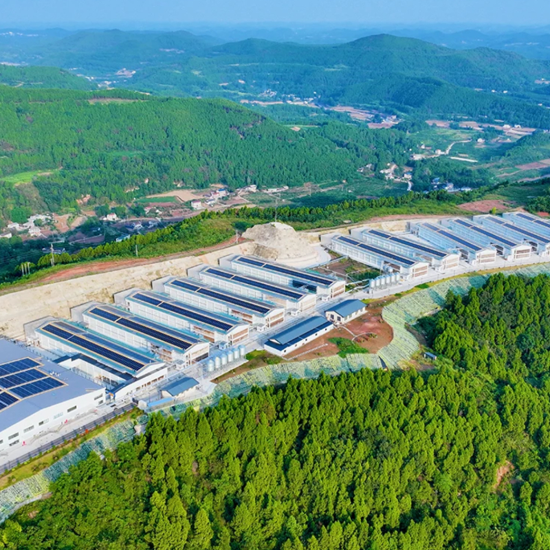 Fotovoltaik EPC Proje Hizmetleri